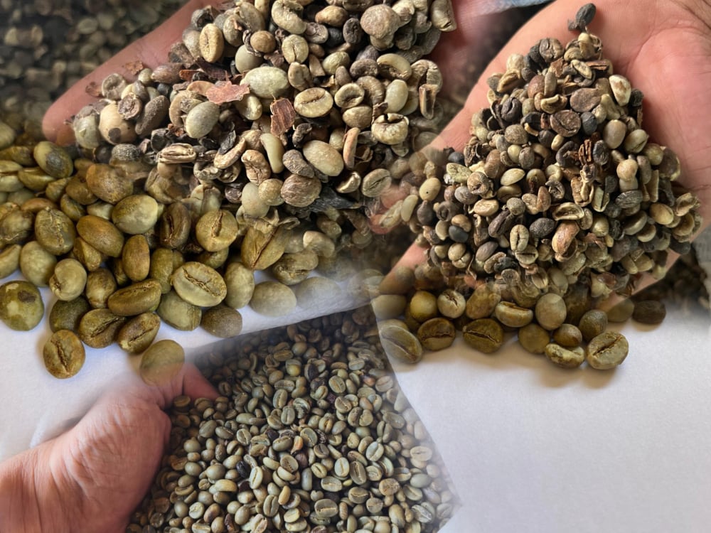 Spices and Coffee Supplier Indonesia