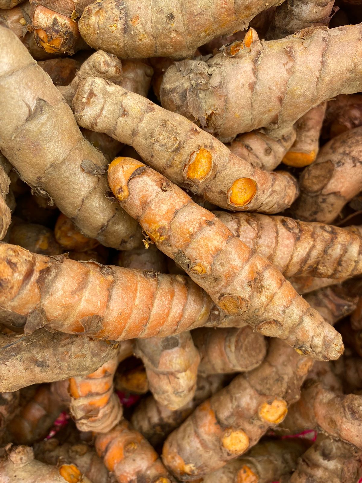 Spices Export Company