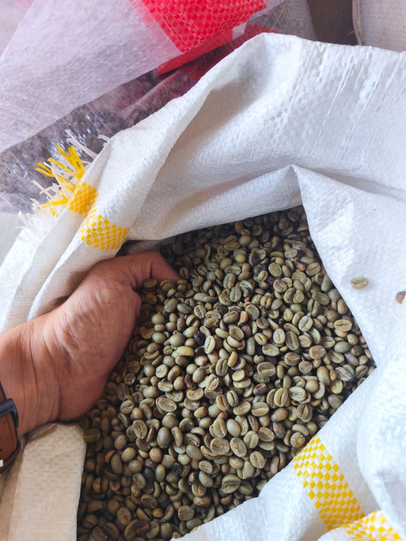 Robusta Coffee from Java Highlands