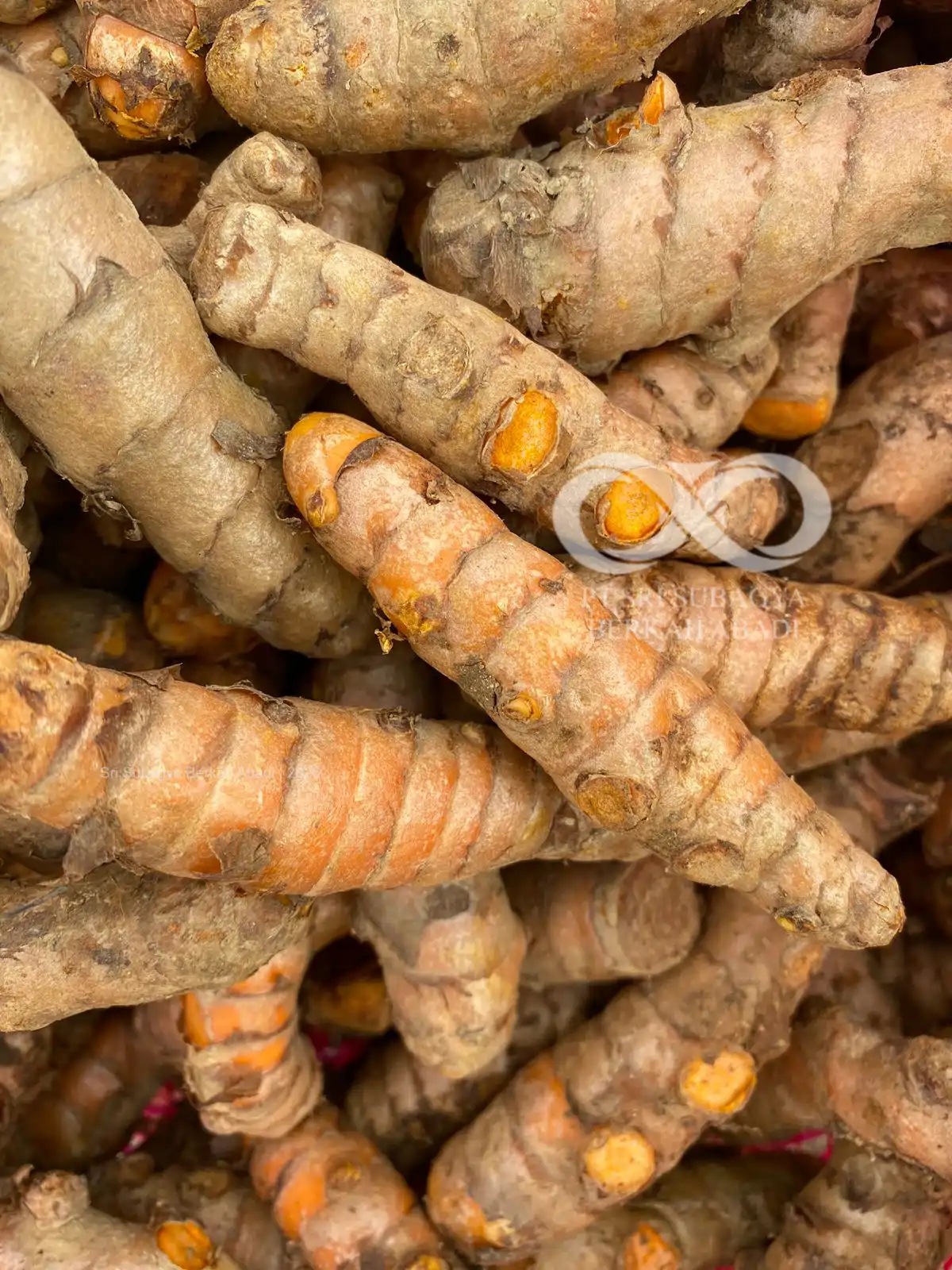 [b]Ginger, Turmeric, and Natural Spices[/b]