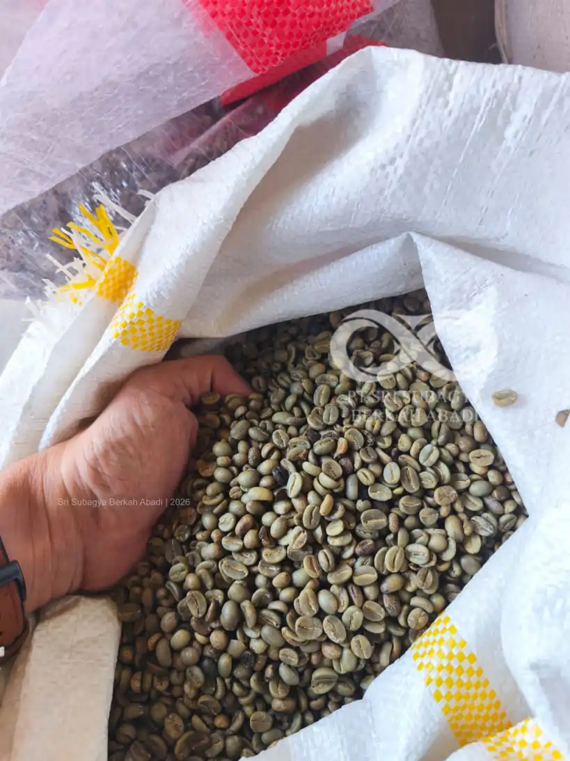 Robusta Coffee from Java Highlands